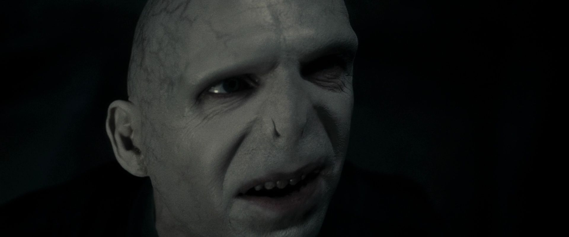 Волан де морт 1. Гриндевальд и Воландеморт. Harry Potter and the Deathly Hallows: Part 1 (2010).