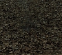 HPDH1-2305.jpg