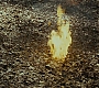 HPDH1-2312.jpg
