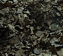 HPDH1-2316.jpg