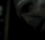 HPDH1-2368.jpg