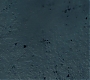 HPDH1-2955.jpg