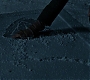 HPDH1-2997.jpg