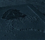 HPDH1-2998.jpg