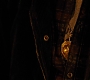 HPDH1-3129.jpg