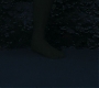 HPDH1-3333.jpg