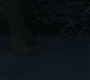 HPDH1-3334.jpg