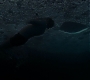 HPDH1-3357.jpg