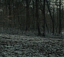 HPDH1-3538.jpg
