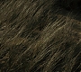 HPDH1-4630.jpg