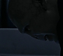 HPDH1-4680.jpg