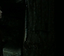 HPDH2-1516.jpg