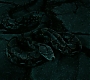 HPDH2-2103.jpg