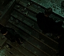 HPDH2-2436.jpg