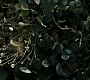 HPDH2-2560.jpg