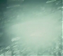 HPTV3-00080.jpg