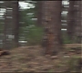 Filename=HPFR-00014.jpg
Filesize=128KiB
Dimensions=1920x1080
Date added=Aug 21, 2010 HPFR-00014.jpg