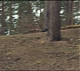 Filename=HPFR-00017.jpg
Filesize=189KiB
Dimensions=1920x1080
Date added=Aug 21, 2010 HPFR-00017.jpg