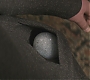 FBAWTFT-00247.jpg