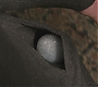 FBAWTFT-00248.jpg