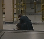 FBAWTFT-00323.jpg