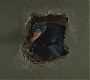 FBAWTFT-00746.jpg
