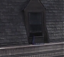 FBAWTFT-00764.jpg