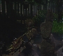 FBAWTFT-01205.jpg