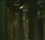 FBAWTFT-01236.jpg