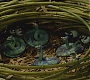 FBAWTFT-01256.jpg