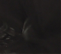 Filename=FBAWTFT-03142.jpg
Filesize=80KiB
Dimensions=1920x800
Date added=Mar 23, 2017 FBAWTFT-03142.jpg