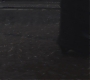 Filename=FBAWTFT-03382.jpg
Filesize=62KiB
Dimensions=1920x800
Date added=Mar 23, 2017 FBAWTFT-03382.jpg
