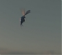 Filename=FBDS-00419.jpg
Filesize=33KiB
Dimensions=1920x800
Date added=Mar 25, 2017 FBDS-00419.jpg