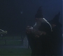 HP1-0078.jpg