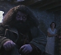 HP1-0420.jpg