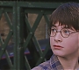 HP1-0928.jpg