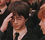 HP1-1292.jpg