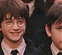 HP1-1312.jpg