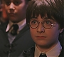 HP1-1458.jpg