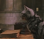 HP1-1485.jpg