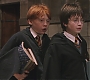 HP1-1494.jpg