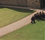 HP1-1705.jpg