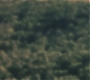 HP1-1721.jpg