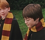 HP1-2484.jpg