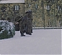 HP1-2514.jpg