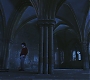 HP1-2736.jpg