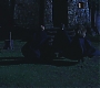 HP1-2909.jpg