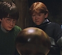 HP1-2955.jpg