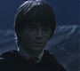 HP1-3171.jpg
