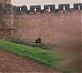 HP1-3266.jpg